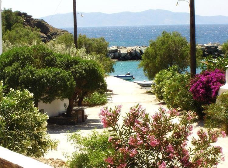 Elia Apartments Agios Romanos Exterior photo